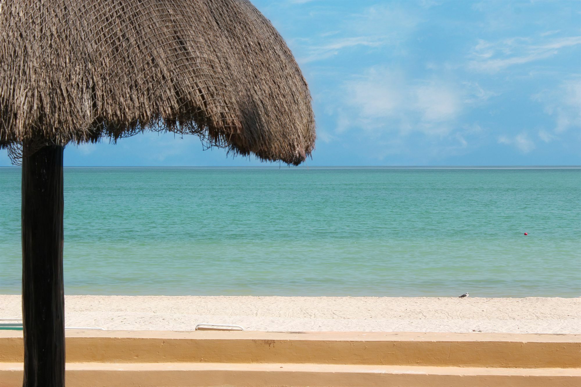 Reef Yucatán&Convention Center - Все включено Мерида Экстерьер фото
